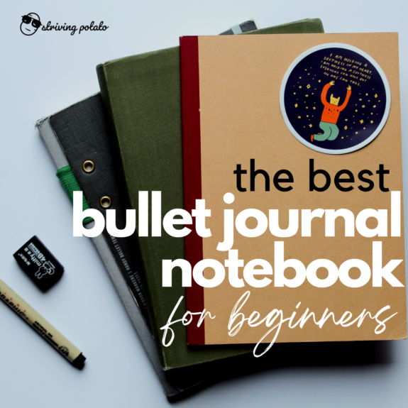 the best bullet journal notebook for beginners